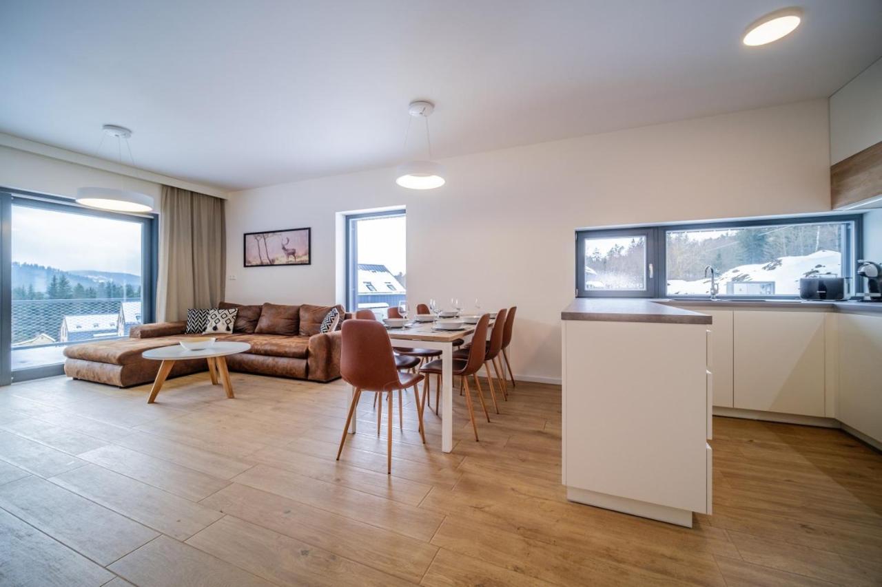 Apartman U Hajenky 429 Lipno nad Vltavou Bagian luar foto